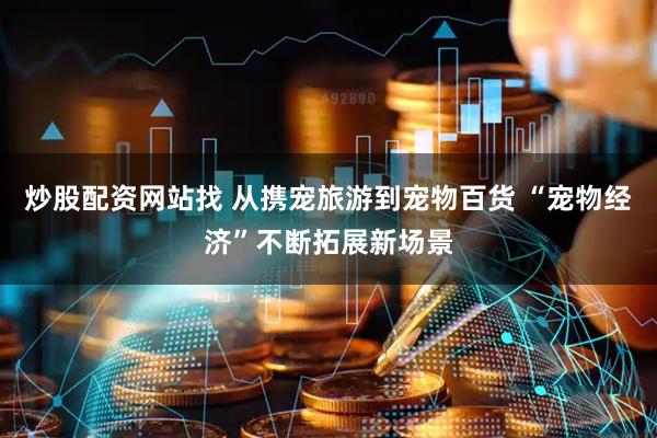 炒股配资网站找 从携宠旅游到宠物百货 “宠物经济”不断拓展新场景