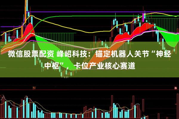 微信股票配资 峰岹科技：锚定机器人关节“神经中枢”，卡位产业核心赛道